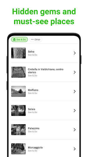 Civitella in Val di Chiana Screenshot 2