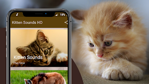 Kitten Sounds - Kitten Meow Sound Screenshot 1