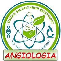 Human Anatomy. Angiology