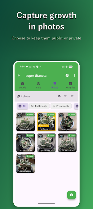 Midorella Screenshot 1