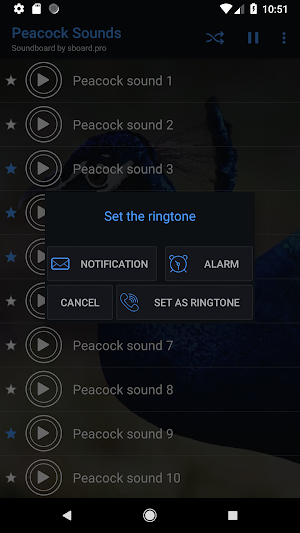 Peacock sounds ~ Sboard.pro Screenshot 2