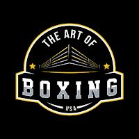 Art of Boxing USA