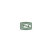 New Century Insurance Group