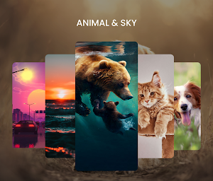 HD Wallpaper & Vivid Wallpaper Screenshot 3