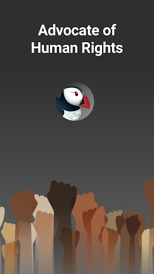 Puffin Incognito Browser Screenshot 2
