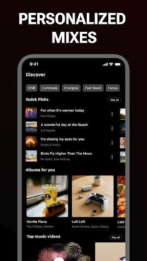 Offline Music, Video Player Screenshot 0