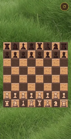 Medieval Chess Screenshot 3