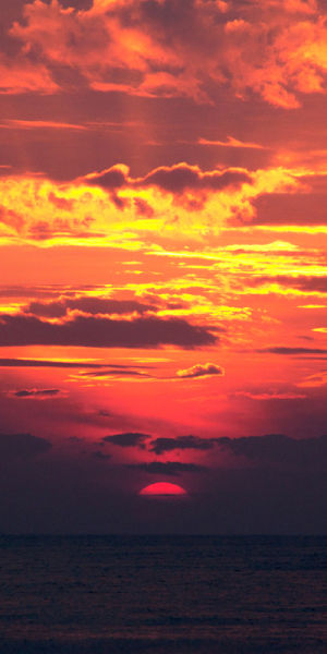 Wallpaper Sunset Screenshot 2