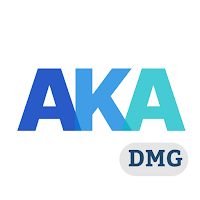 AKA DAMAGE AUDIT