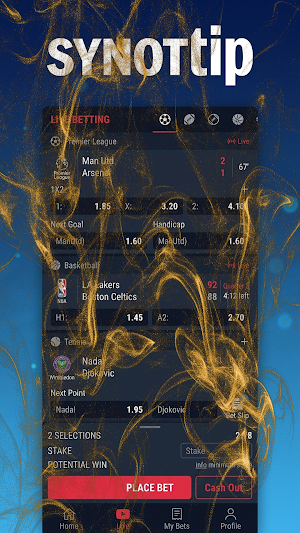 SynotTip Screenshot 0