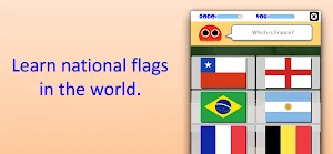 Robo Flags Screenshot 0