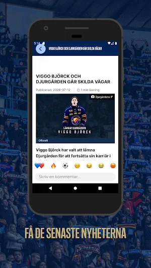 DIF Hockey Screenshot 1