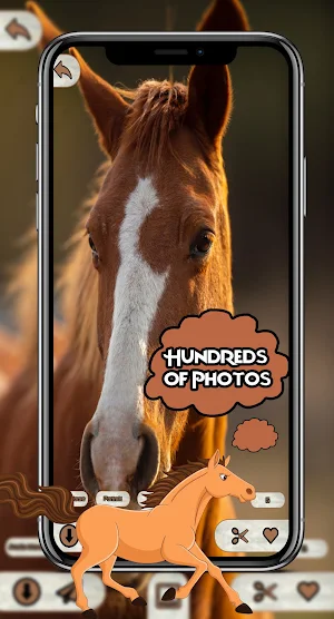 Horse Wallpapers HD 4K Screenshot 2