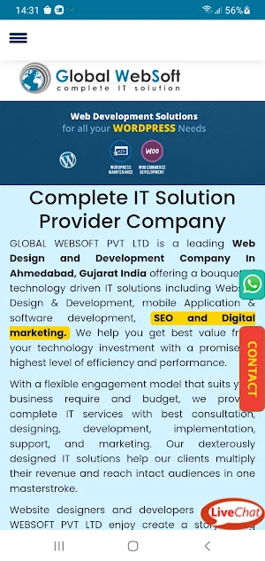 Global Websoft Screenshot 0