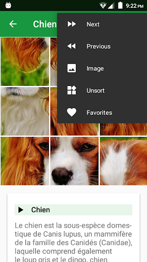 Dogs Puzzle Screenshot 3