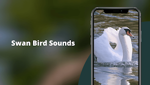 Swan Sounds Screenshot 0