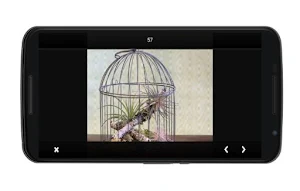 Design ideas Birdcage Screenshot 3