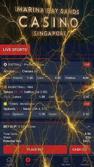 Marina Bay Sands Casino Screenshot 3