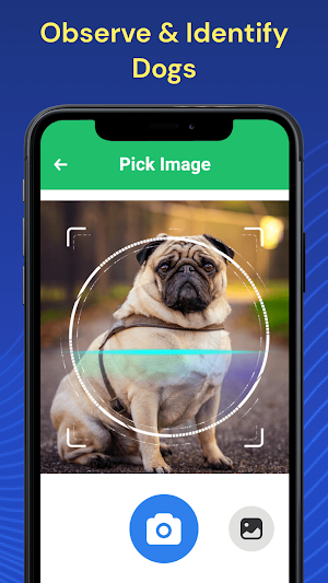 Dog Breed Identifier by Photo Screenshot 3