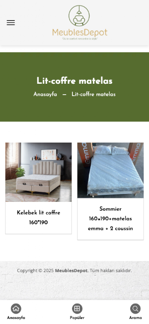 MeublesDepot Screenshot 1