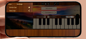 Dulcimer Sim Screenshot 3