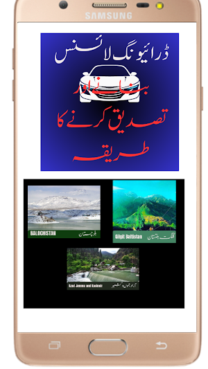 Driving License Pakistan Screenshot 1