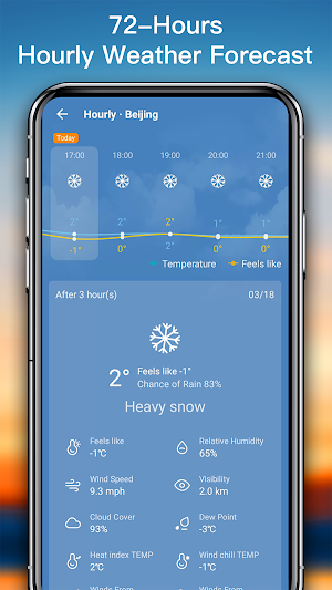 Weather Forecast Pro Screenshot 2