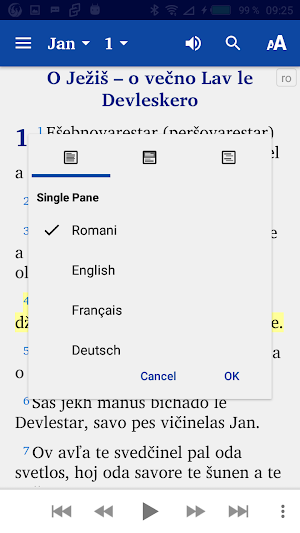 Romani Eastern Slovak English Screenshot 3