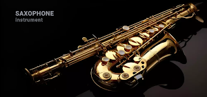 Saxophone Instrument Screenshot 0