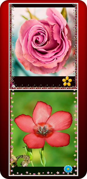 خلفيات ورد جميلة Screenshot 0
