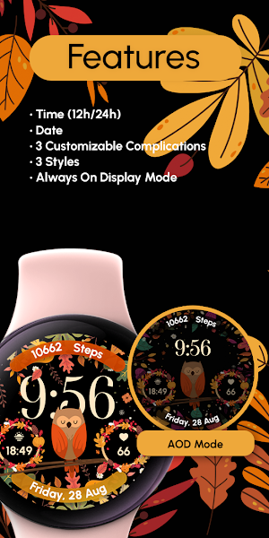 Autumn Owl - ReS80 Screenshot 3