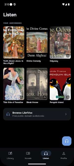 RookReader: Ebook & Audiobook Screenshot 1