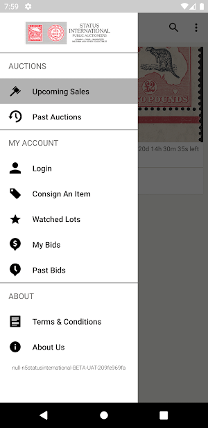 Status International Auction Screenshot 3