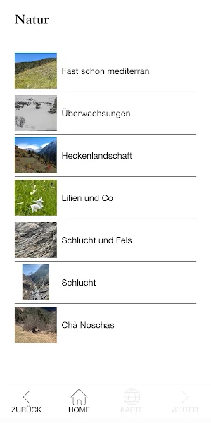 Valsot Screenshot 1