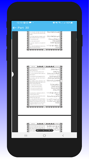 Holy Quran Hindi Screenshot 0