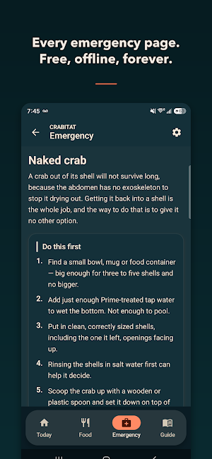 Crabitat: Hermit Crab Care Screenshot 3