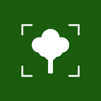 Tree ID: Leaf Identifier