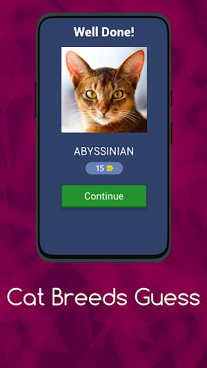 CAT BREEDS GUESS Screenshot 1