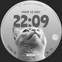 Reddice CurioCat WSH5