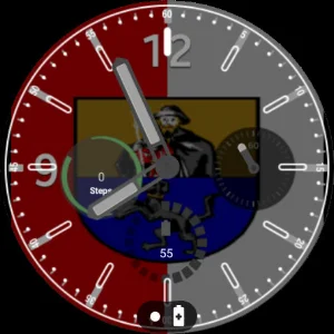 Werfen Flag Watchface Screenshot 2