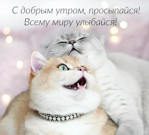Доброе Утро 0ткрытки Screenshot 1