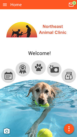 Northeast Animal Clinic Screenshot 0