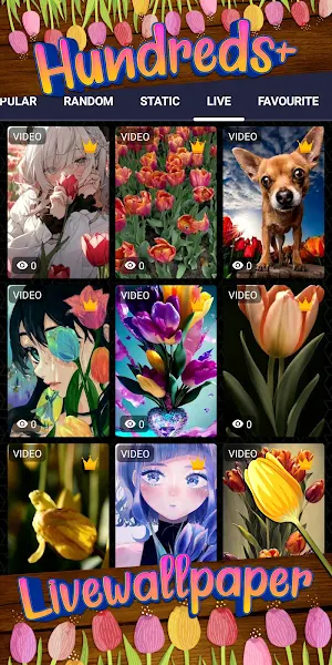 tulip wallpaper Screenshot 2