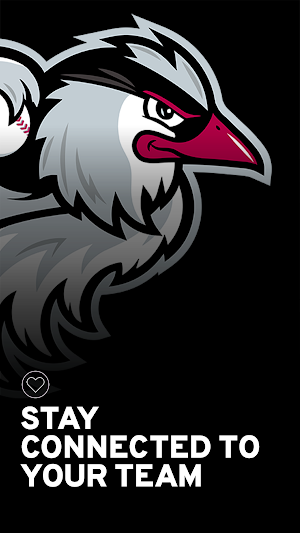Idaho Falls Chukars Screenshot 0