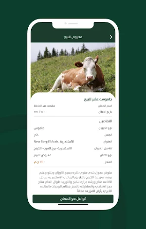 بورصة المواشي Screenshot 1