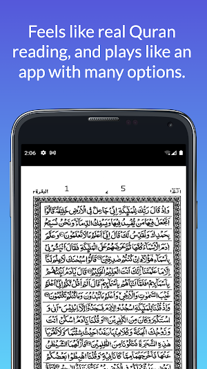 15 Lines Hefz/Hafezi Quran Screenshot 0