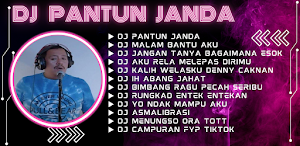 DJ Pantun Janda Offline Bas Screenshot 2