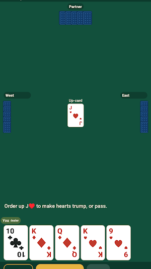 Euchre: Learn & Play Offline Screenshot 1
