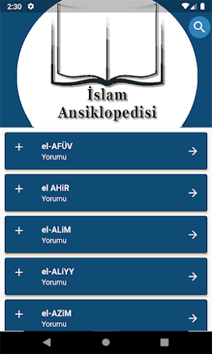 İslam Ansiklopedisi İnternetsiz Screenshot 2