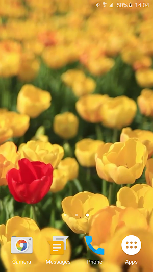 Tulips 4K Live Wallpaper Screenshot 3